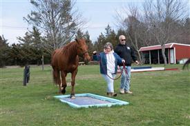 LR-WRF 0402026 Retreat-3510